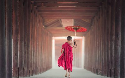 Evakuasi Longsor di Terminal